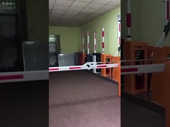 Моторные барьерные ворота переменного тока BG-102